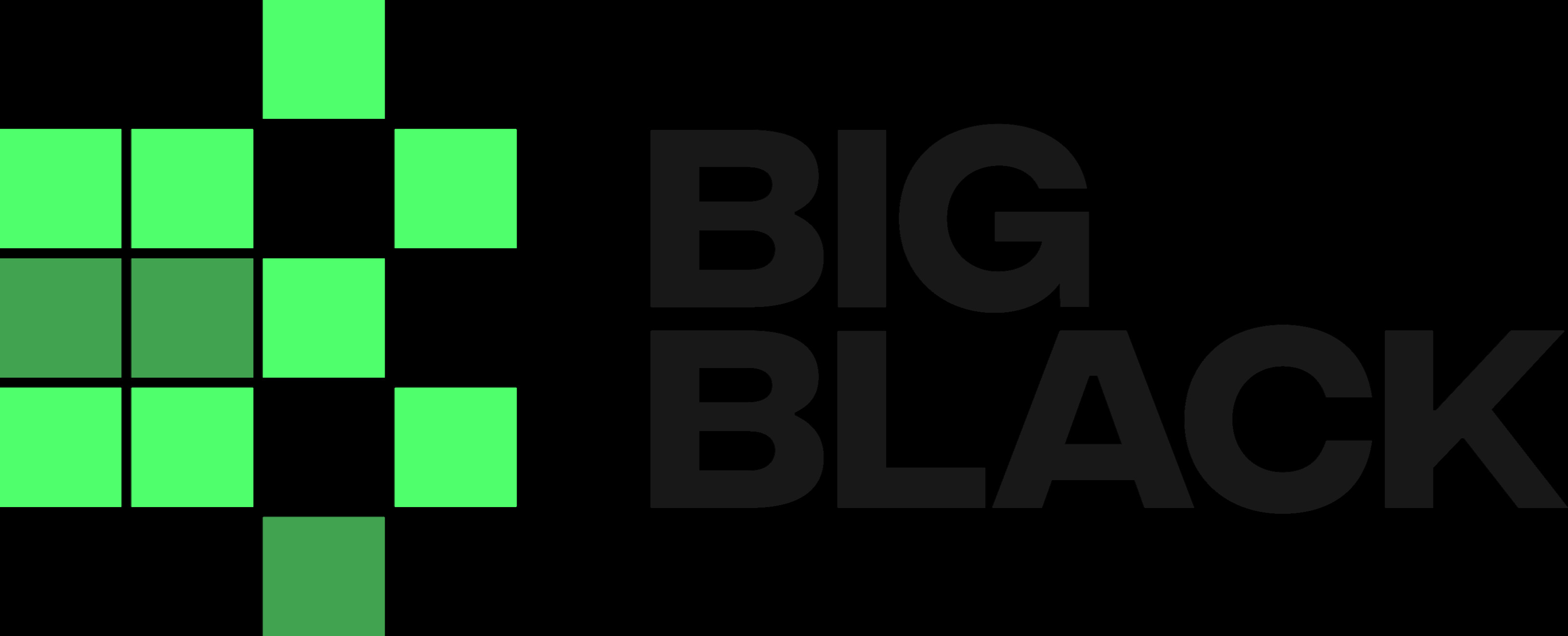 BIG BLACK STUDIO