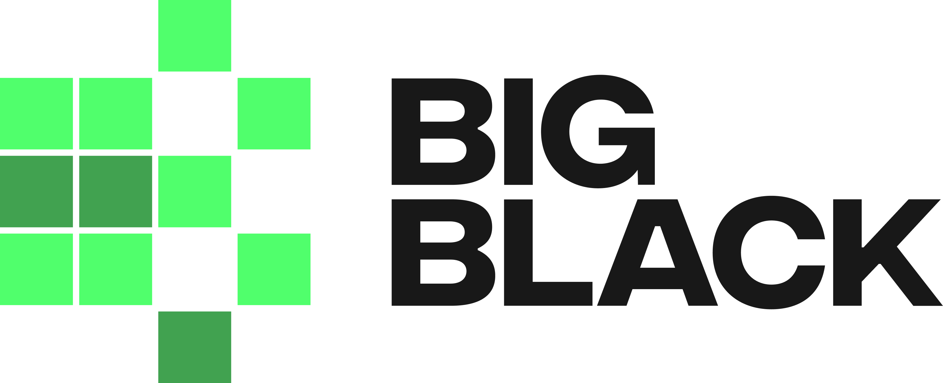BIG BLACK STUDIO